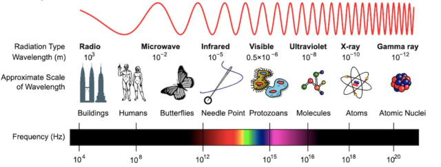 Different telescopes capture different parts of the electromagnetic spectrum, with radio telescopes collecting radiation of the longest wavelengths.